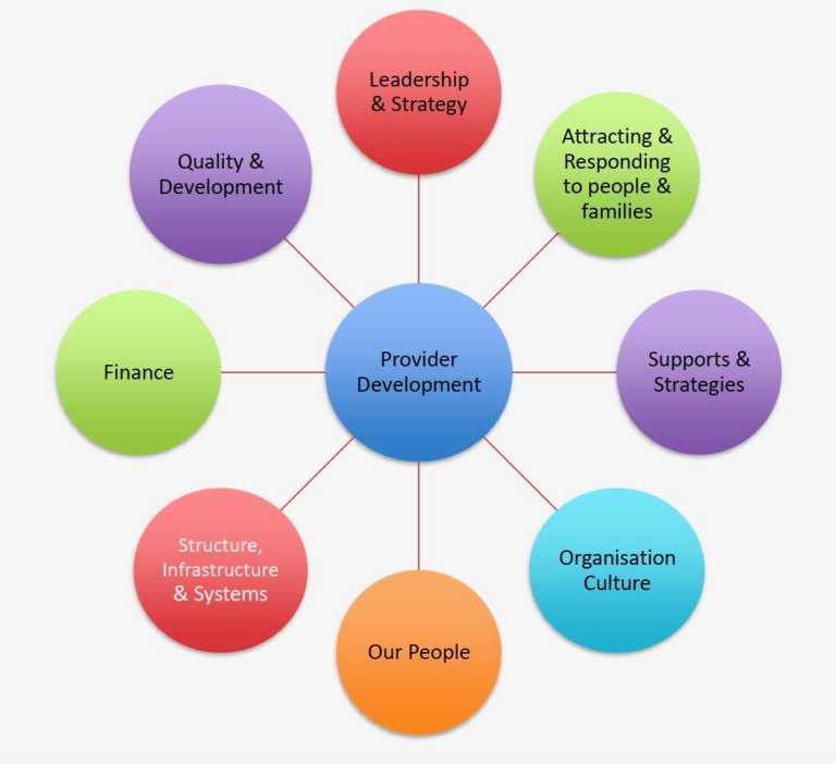 Circle with 'Provider Development in the centre, circles coming off of that say "Leadership & Strategy, Attracting & responding to people and families, Supports and strategies, organisation culture, our people, structure, infrastructure and systems, Finance and, Quality and development. 