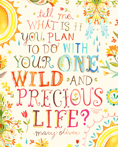 Colourful graphic with the quote 'tell me, what is it you plan to do with your one wild and precious life?' by Mary Oliver